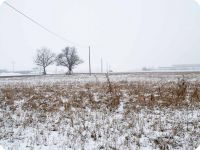 Il bianco silenzio