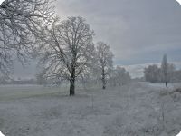 La prima neve - Villa Levi 24 -12-. 2012
