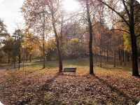 Passeggiate d'autunno