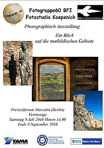 locandina Berlino2016Mini